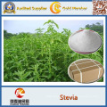 Sodium Erythorbate Powder Bulk Sodium Erythorbate/ Sodium Erythorbate